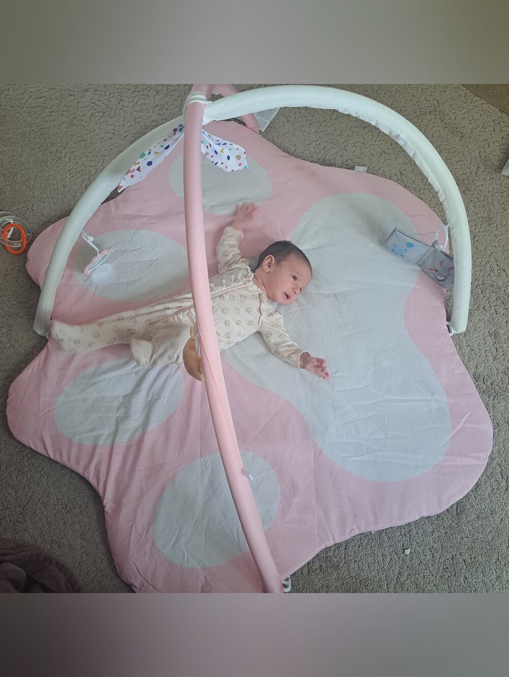 Pink Baby Sensory Play Gym with Detachable Toys
